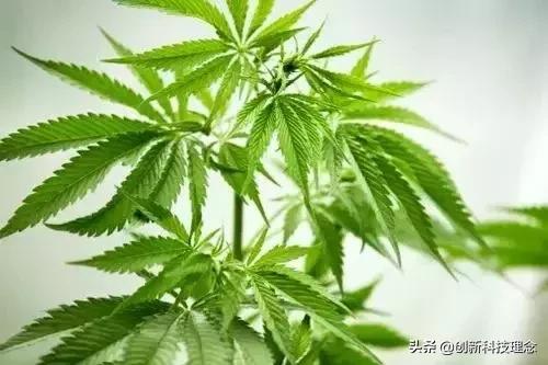 人类发现的第1种金属是什么,人类发现最完美的材料