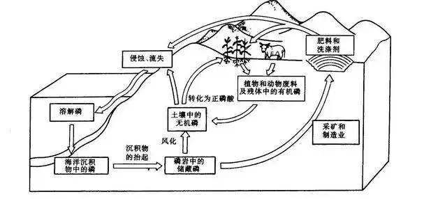 池塘属于什么生态系统,水产养殖生态系统