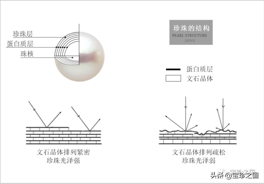 智识珍珠07|南洋白珠：珍珠界的“禁欲系”代表