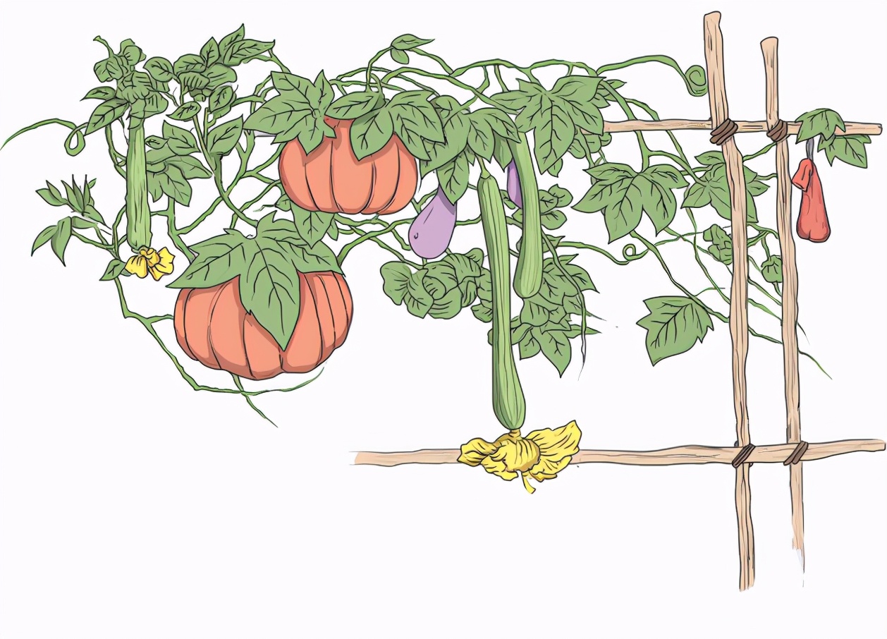 【*党**史故事】“南瓜藤上长出银毫子”的故事——这就是中国*产党共**为什么能的重要密码