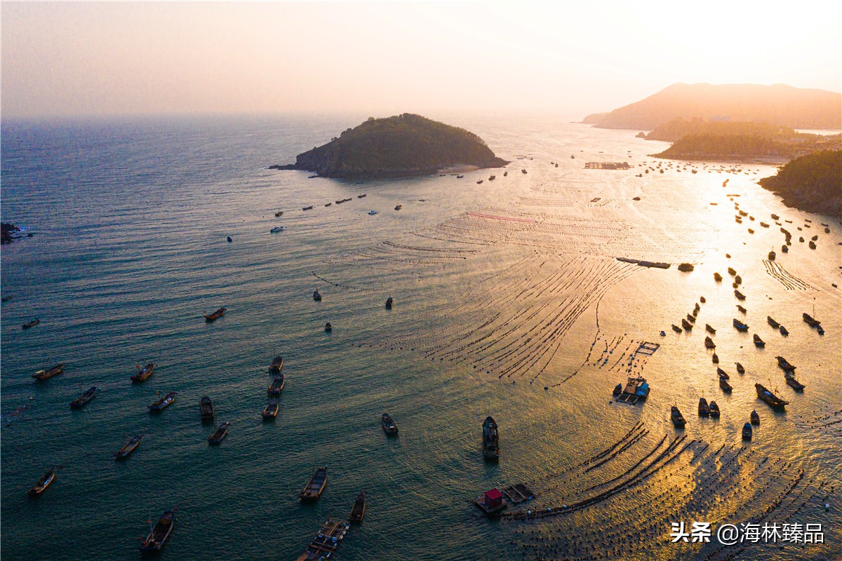 探秘海参的捕捞过程,野生海参采捕视频大全