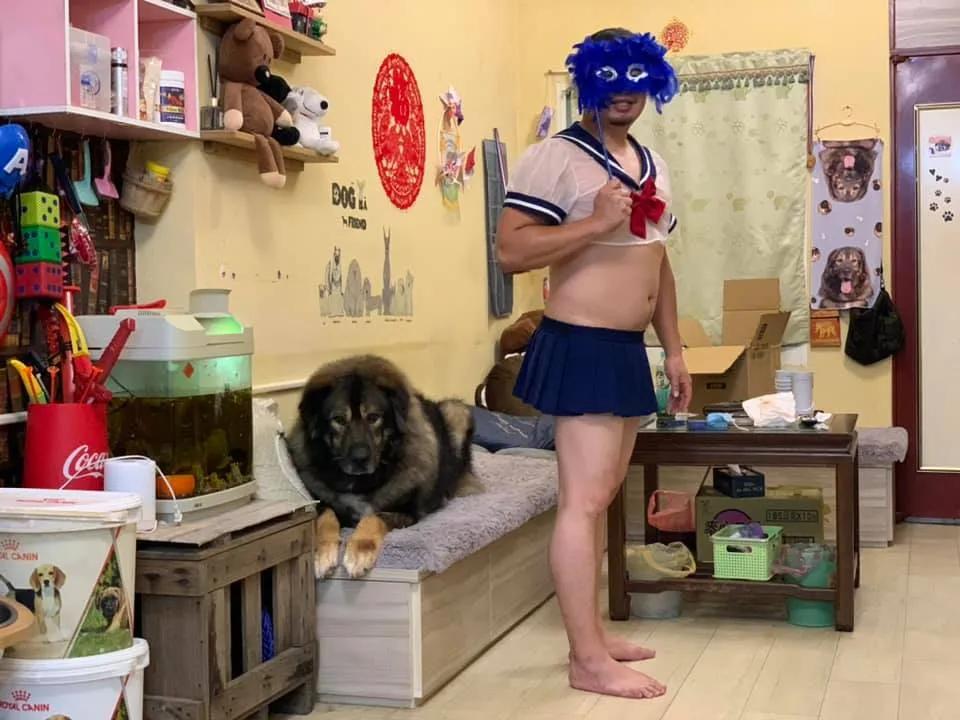 捡了一只流浪狗黑色泰迪,捡到一只流浪雪纳瑞