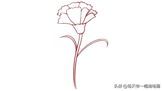 送给妈妈的母亲节康乃馨简笔画,画一朵康乃馨简笔画