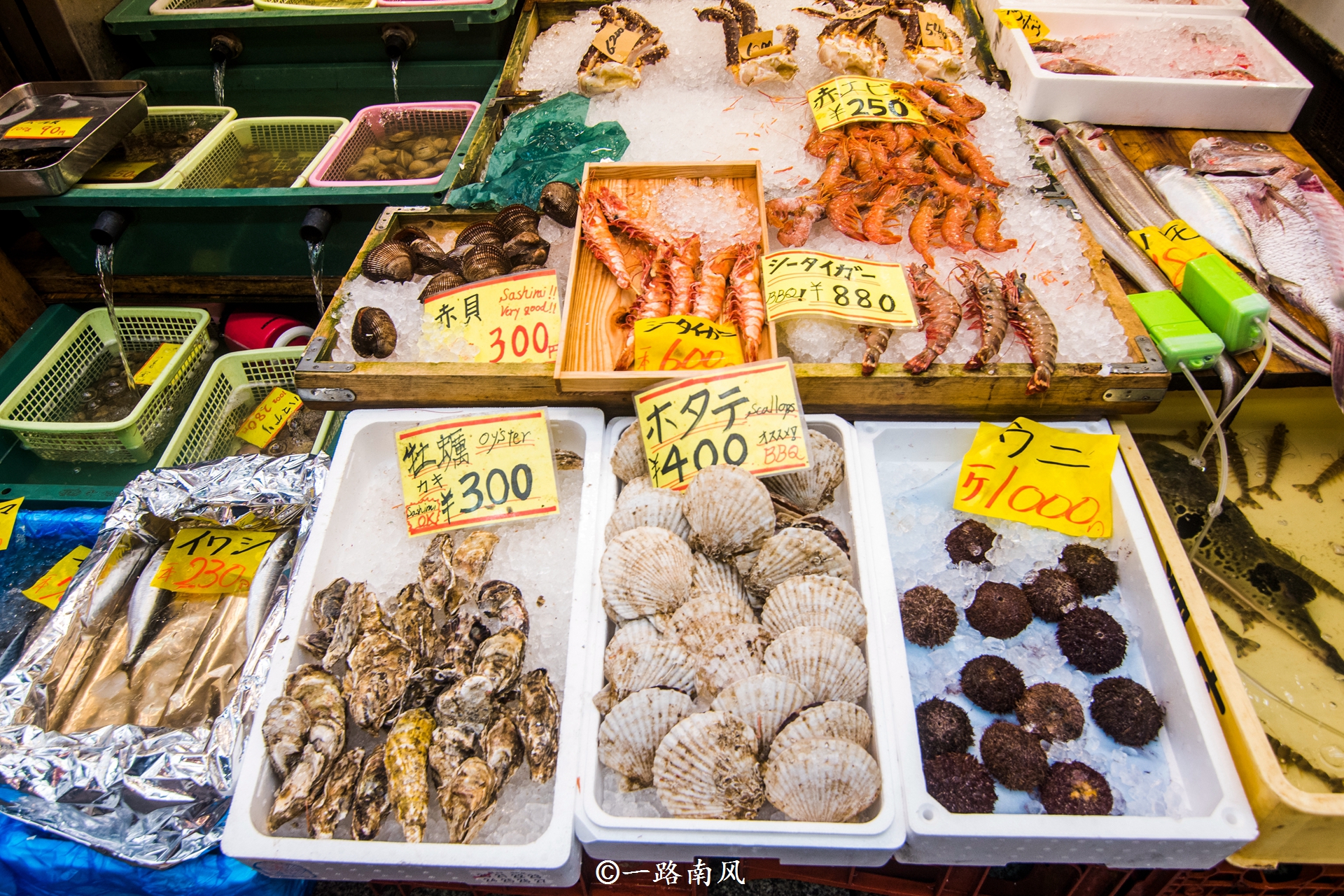 日本大阪物价和东京物价,日本大阪物价水平