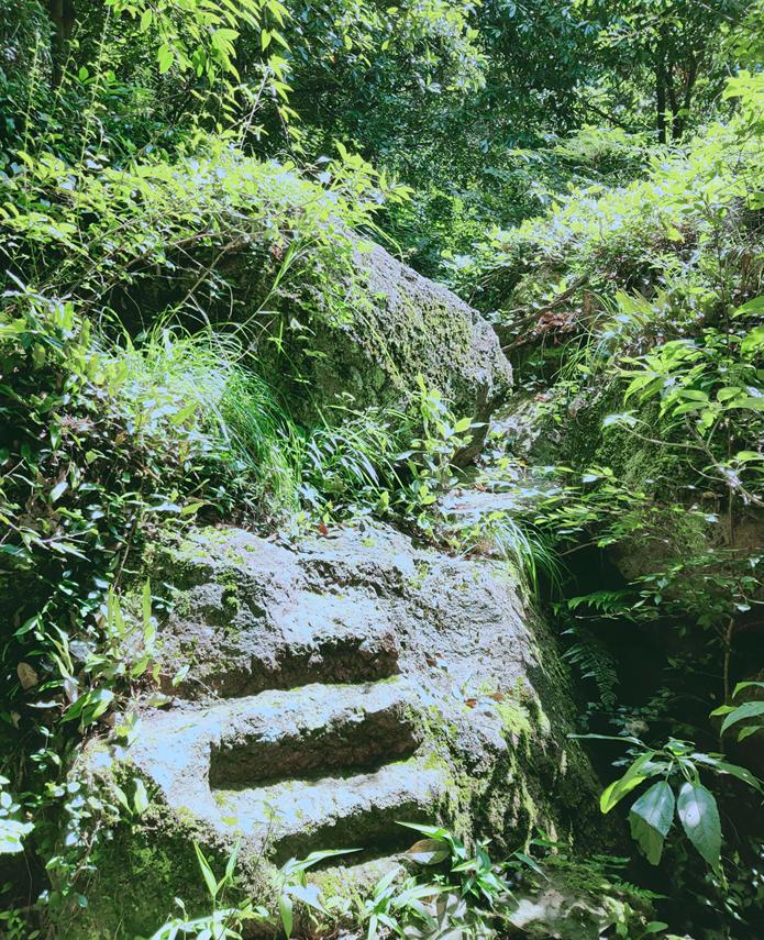 金华这座1.5亿高龄的山峰，浓翠蔽日，风清月朗，还有试胆石等你去挑战