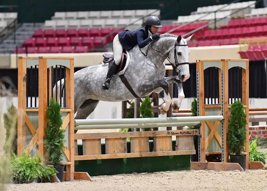 美国宾州格瑞尔女子私立高中学费,美国格瑞尔女校费用