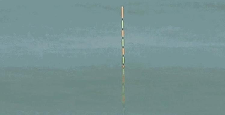 野钓浮钓调漂最佳方法,野钓浮漂怎么调最准确