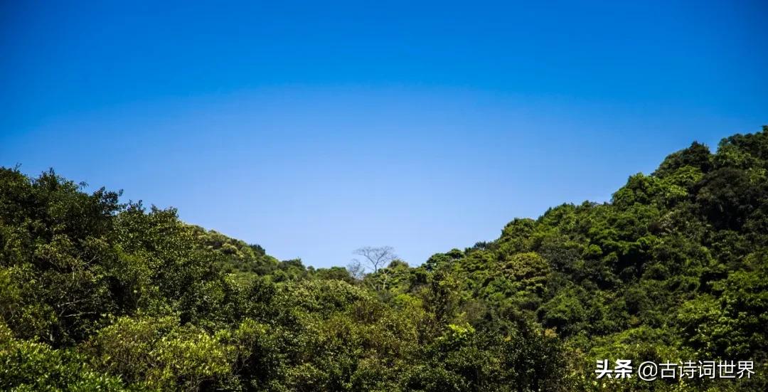 字里行间众生,字里行间见众生