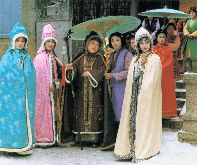 红楼梦中最经典的讽刺情节,红楼梦最具有讽刺意义的片段