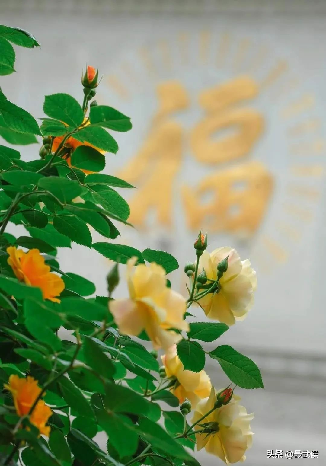 成都首条夜环线，太太太太好玩了！