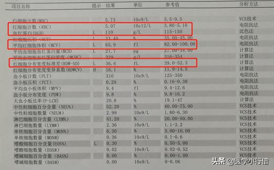 地中海贫血是看什么指标,地中海贫血看什么指标血常规