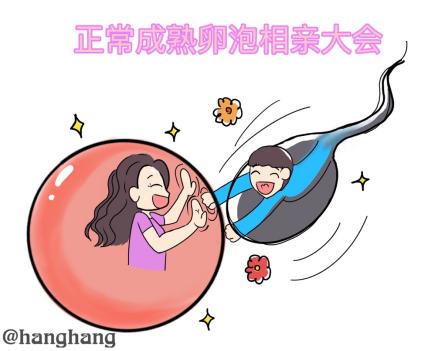 不孕不育漫画解说,不孕不育漫画