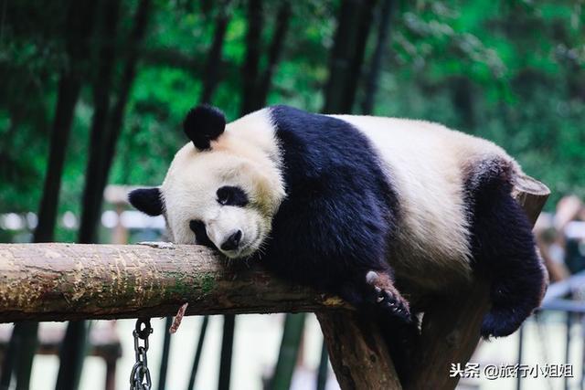 天目湖加南山竹海哪里泡温泉好,天目湖度假秘境享受绝美自然山水