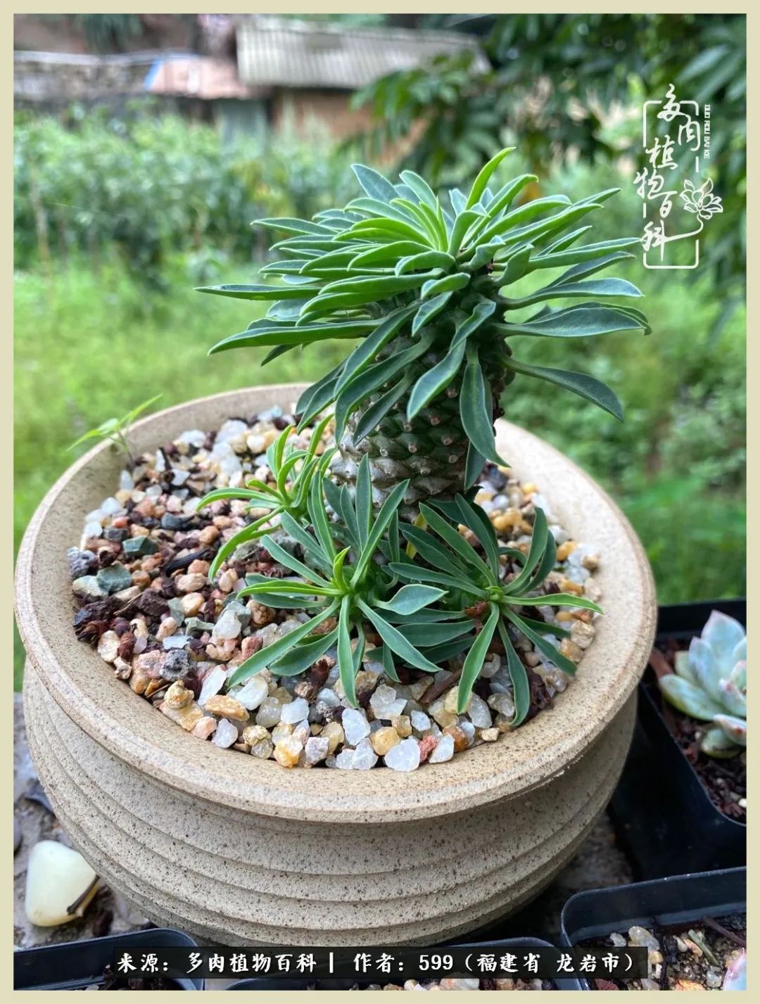 所有的热爱都不遗余力,所有的忙碌都是因为热爱