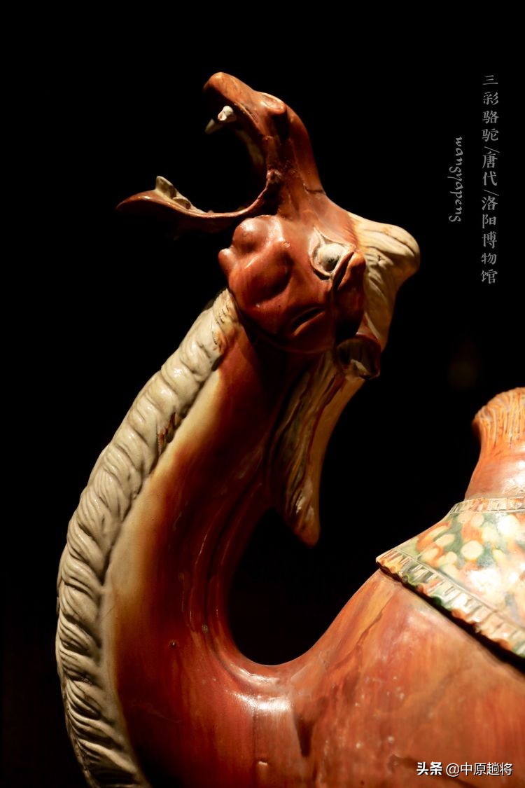 洛阳博物馆专门为二十多件珍宝成立了一个展馆