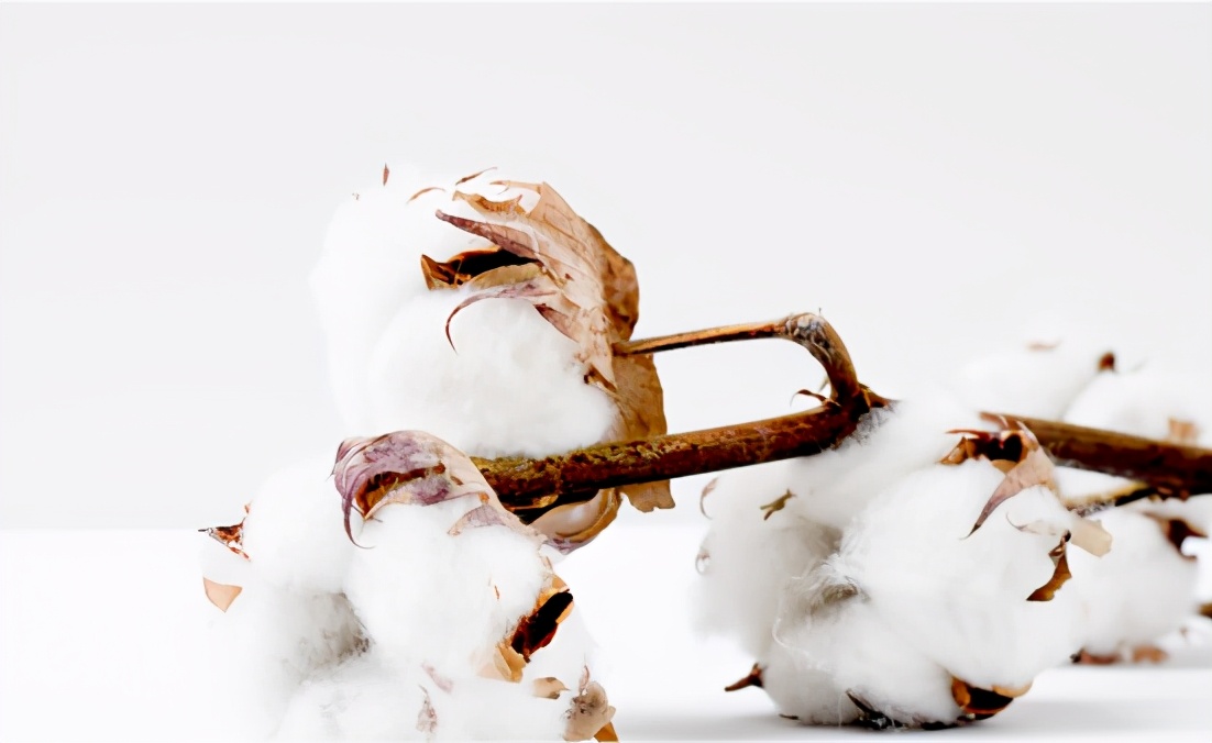 乐知品牌管理：又现全民*制抵**，盘点这些不作不死的国际品牌