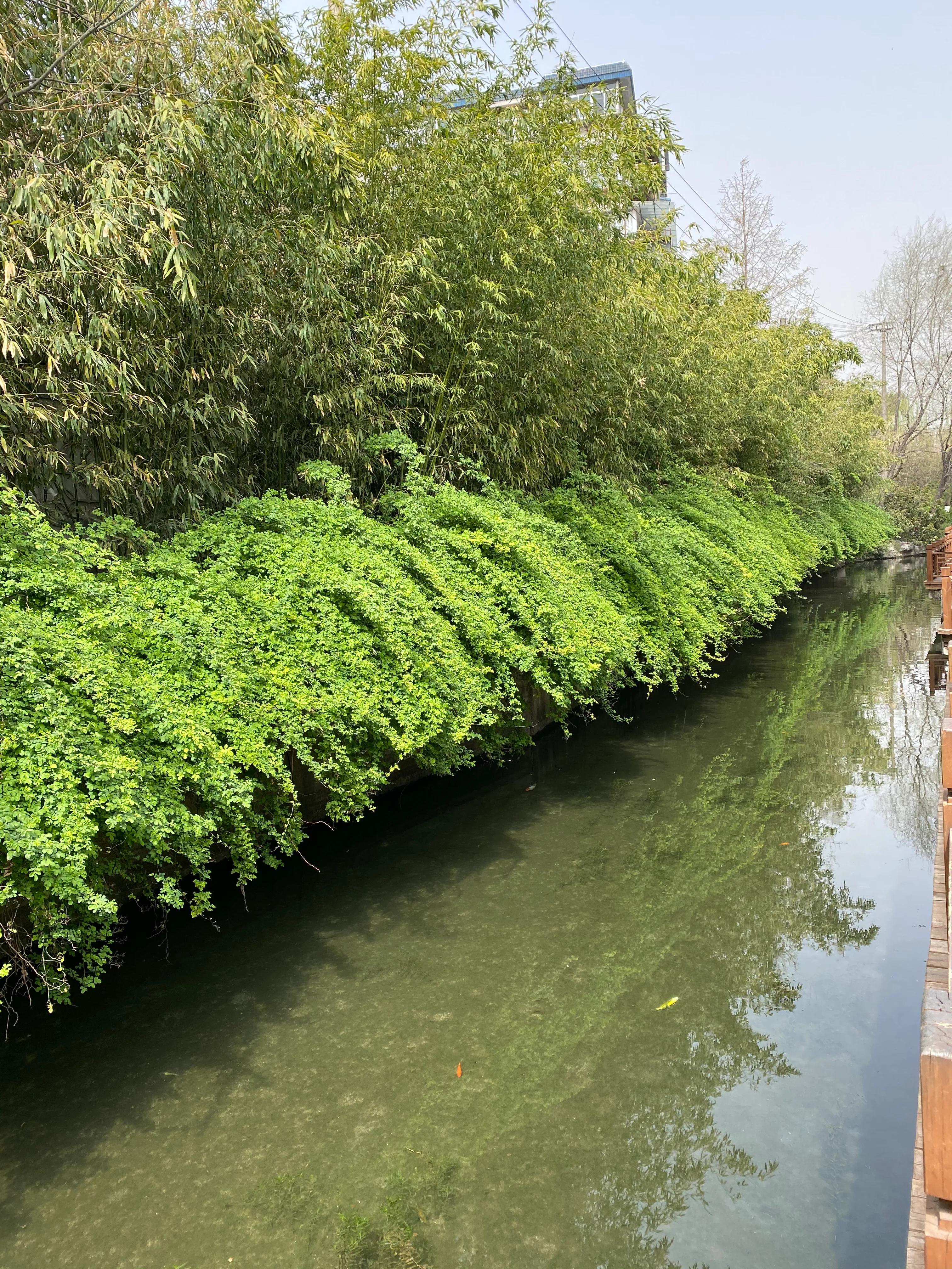 70后看待80后,70后女人发朋友圈心态