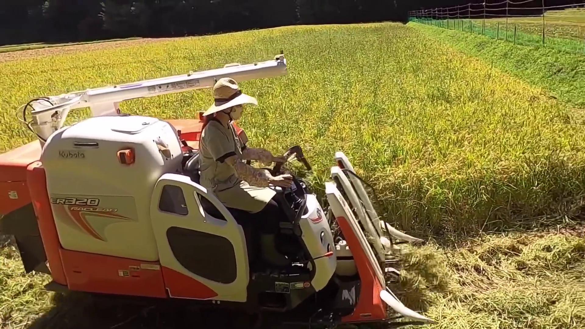 久保田230收割机一小时能割多少亩,久保田小型收割机2023新款价目表