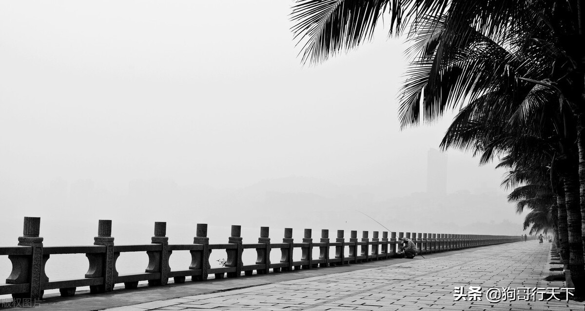 珠海免费开放的沙滩十大免费景点,珠海自驾游十大免费景点推荐