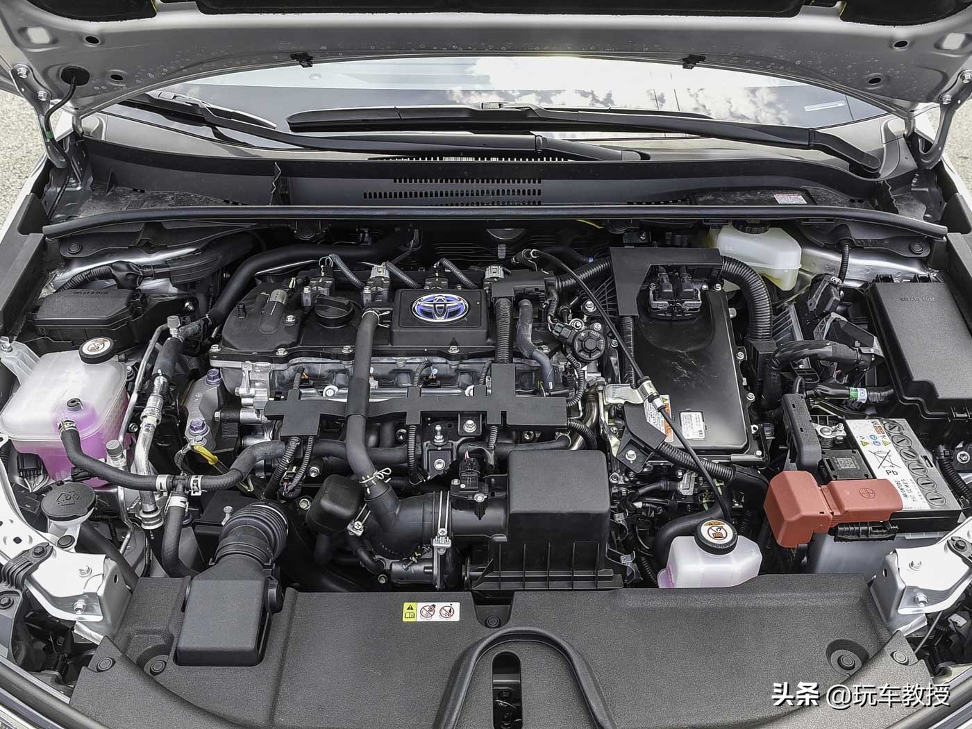 忘了他吧我开卡车养你完整版,忘掉他吧我养你什么梗