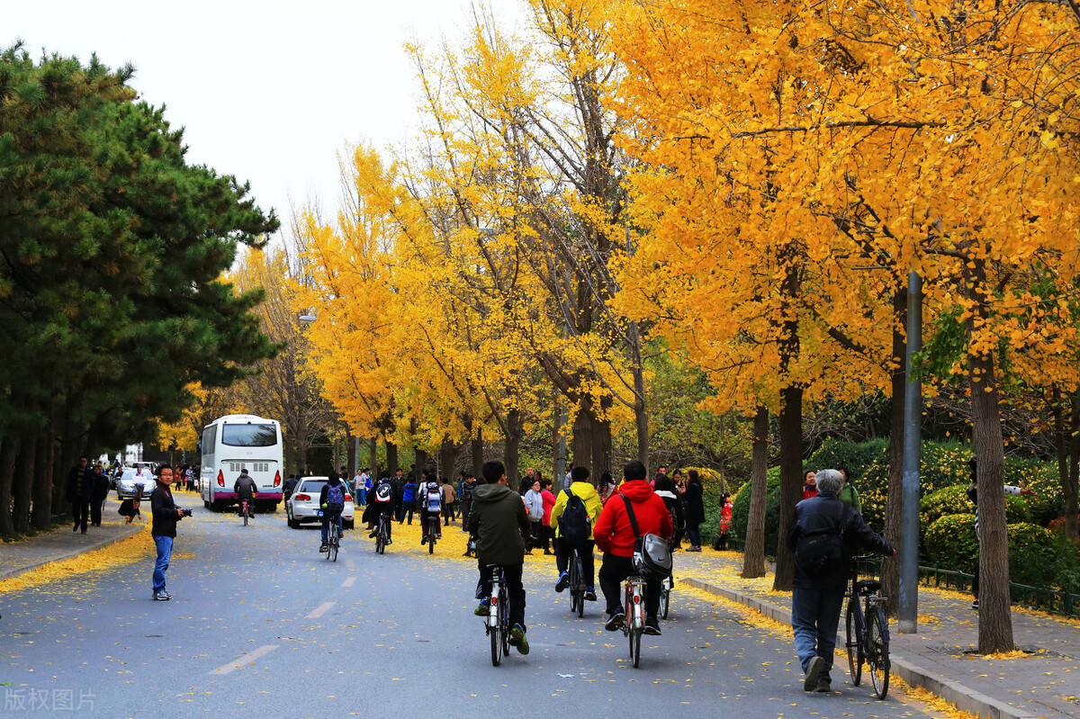 全球十大最顶尖大学,全球大学排名2022完整版