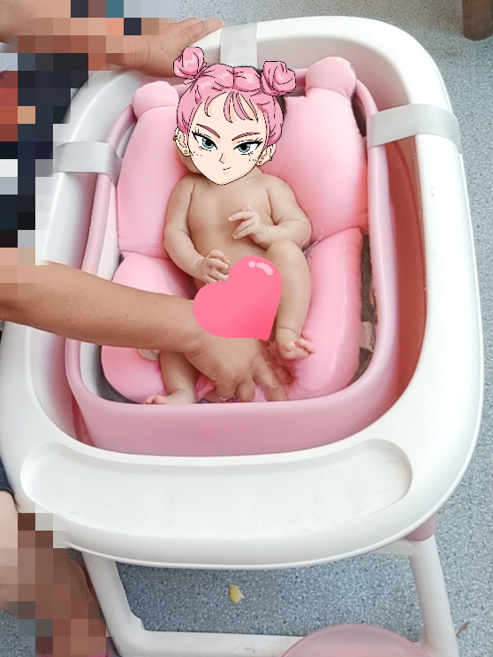 待产必备品实用清单,母猫待产必备物品清单