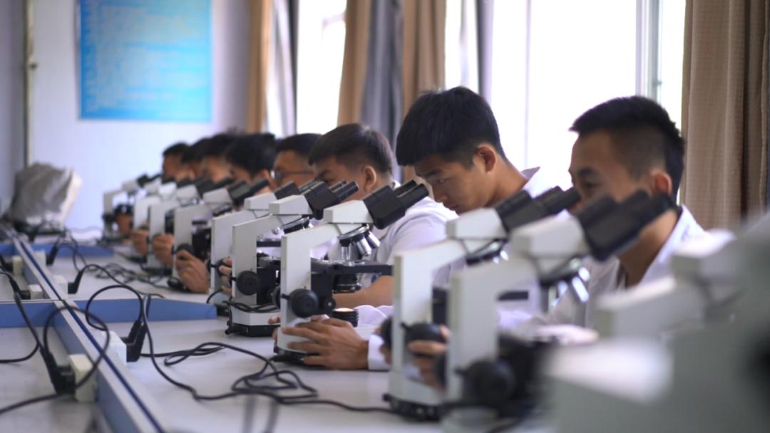 2021阜新高等专科学校中专招生,阜新高等专科学校2004年招生专业