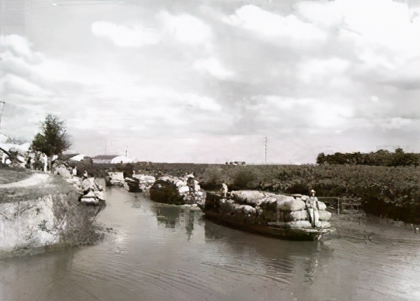 五龙潭畔花店街——鲁安济南忆旧系列之六十二