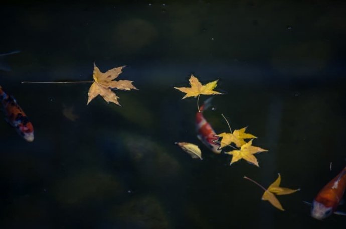 万壑千岩锁翠烟赏析,万壑千岩图片