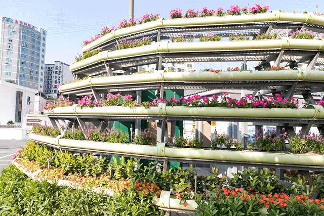 深圳游玩合集,深圳世界之窗游玩攻略必玩项目