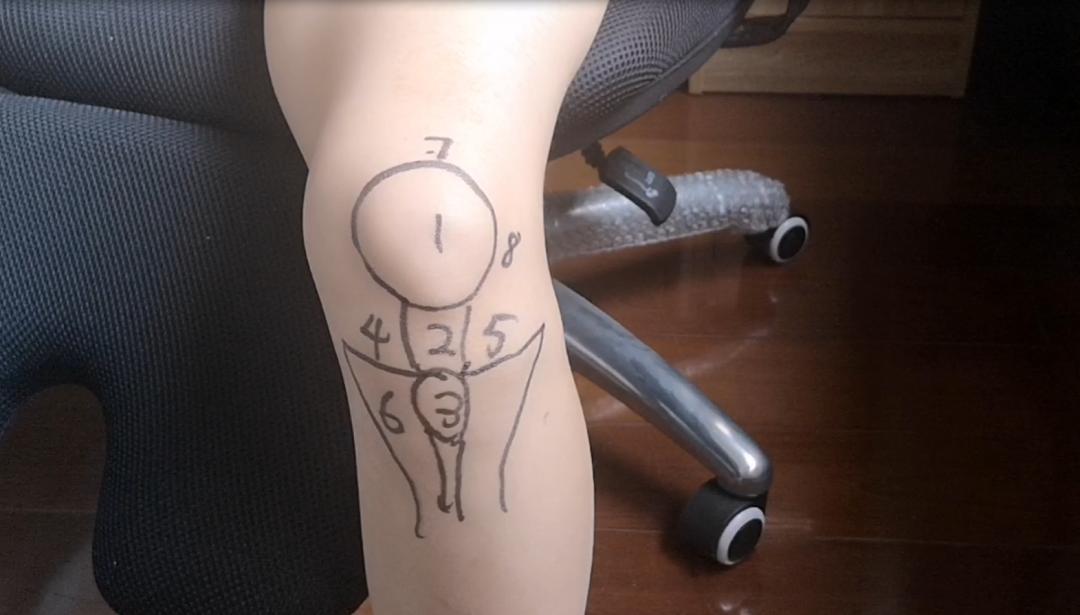 不同部位膝关节,骨科医生教你一招搞定膝盖痛