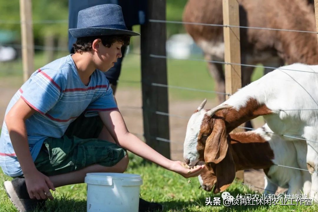 旅居生活新西兰,旅居在新西兰