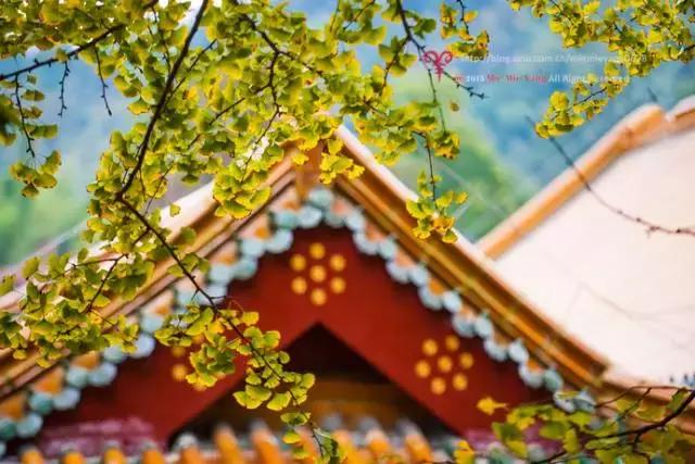 天目山斐文禅意酒店,天目山上客堂酒店斐文野奢民宿