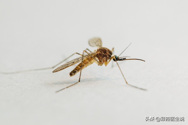 如何缓解蚊虫叮咬的痒,肥皂水擦拭可以缓解蚊虫叮咬吗