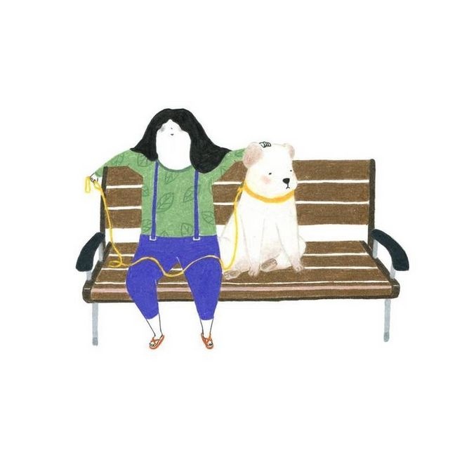 狗狗冷知识大合集视频,狗狗冷知识狗粮