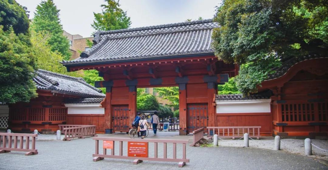 日本高中生排行榜,日本私立大学最新排名