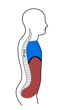 肩颈疼痛不能用力,肩颈疼不能转头怎么办