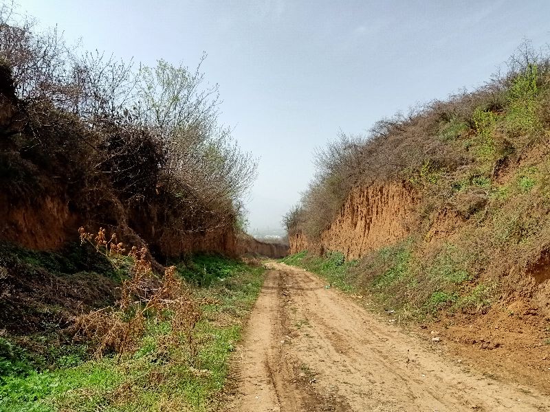 原创随笔父亲,父亲三周年祭日的祭词