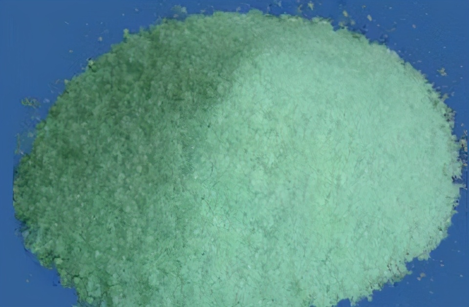 盆栽花卉缺铁叶片出现什么症状,植物缺铁的症状出现在什么地方