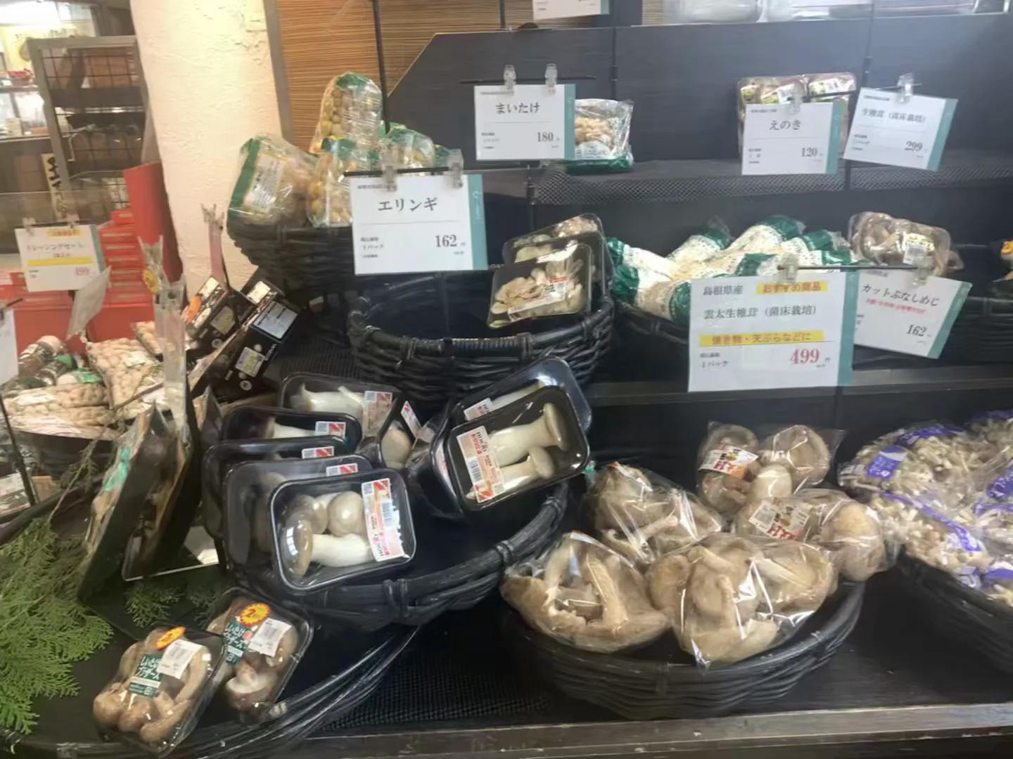 日本名古屋旅游必需品,日本名古屋一日游攻略住宿