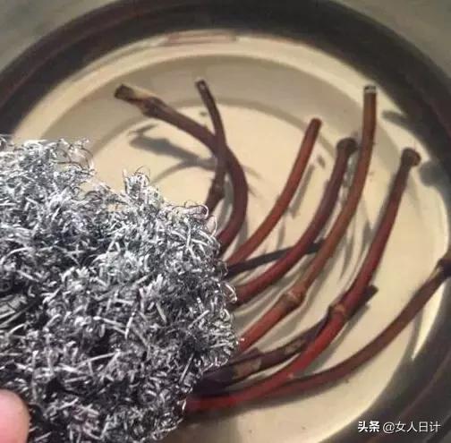 山上随便砍的藤条,竟然比金刚还牛逼!(附带制做方法)