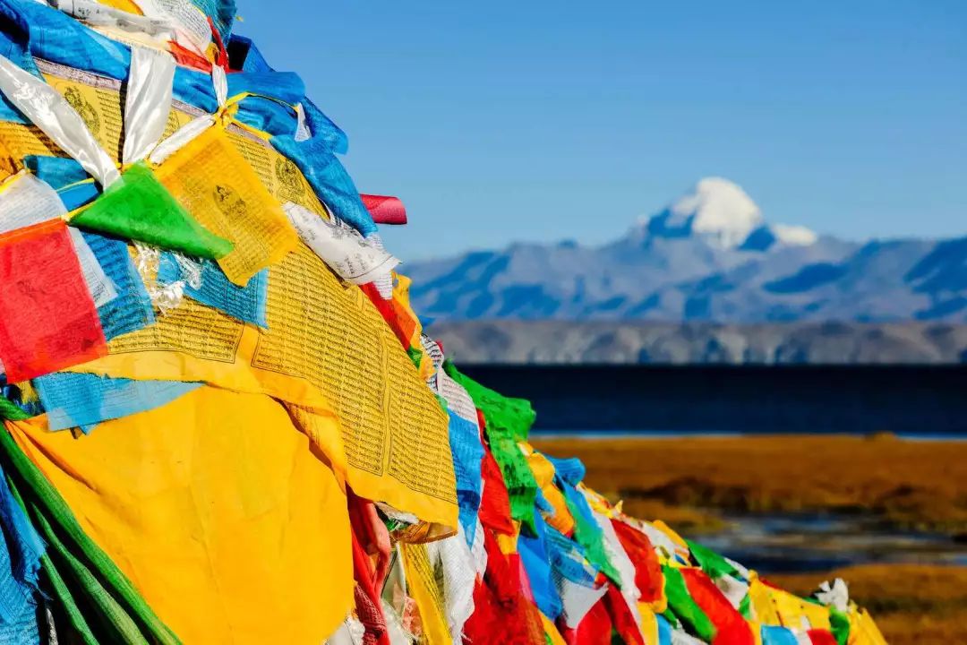 快速收藏100个小妙招,快速收藏新闻