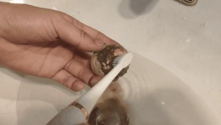 牙黄最有效变白方法,女性牙黄最有效的方法