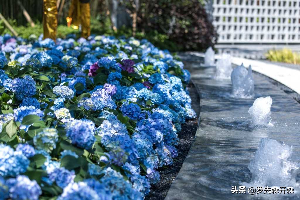 常熟尚湖万科璞悦雅筑平层,常熟尚湖璞悦雅筑横厅