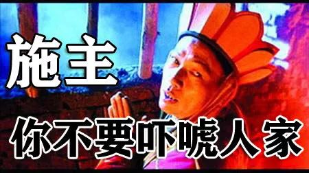 白马踏雪山金正恩座骑大有来头｜除了帅气人类为何钟情白马？