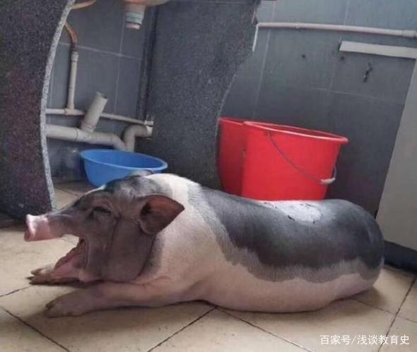 女生宿舍来大姨妈咋办,男生来女生宿舍接女友