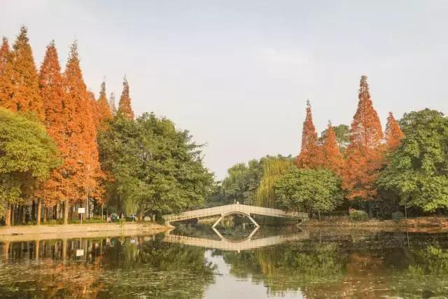 成都的干净程度,成都的街道名为什么好听