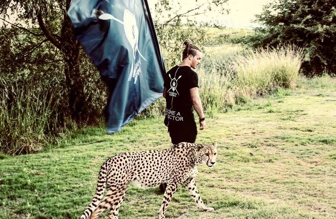 放弃百万年薪，去非洲撸猫？长腿版小李子引63w人舔屏：看我看我