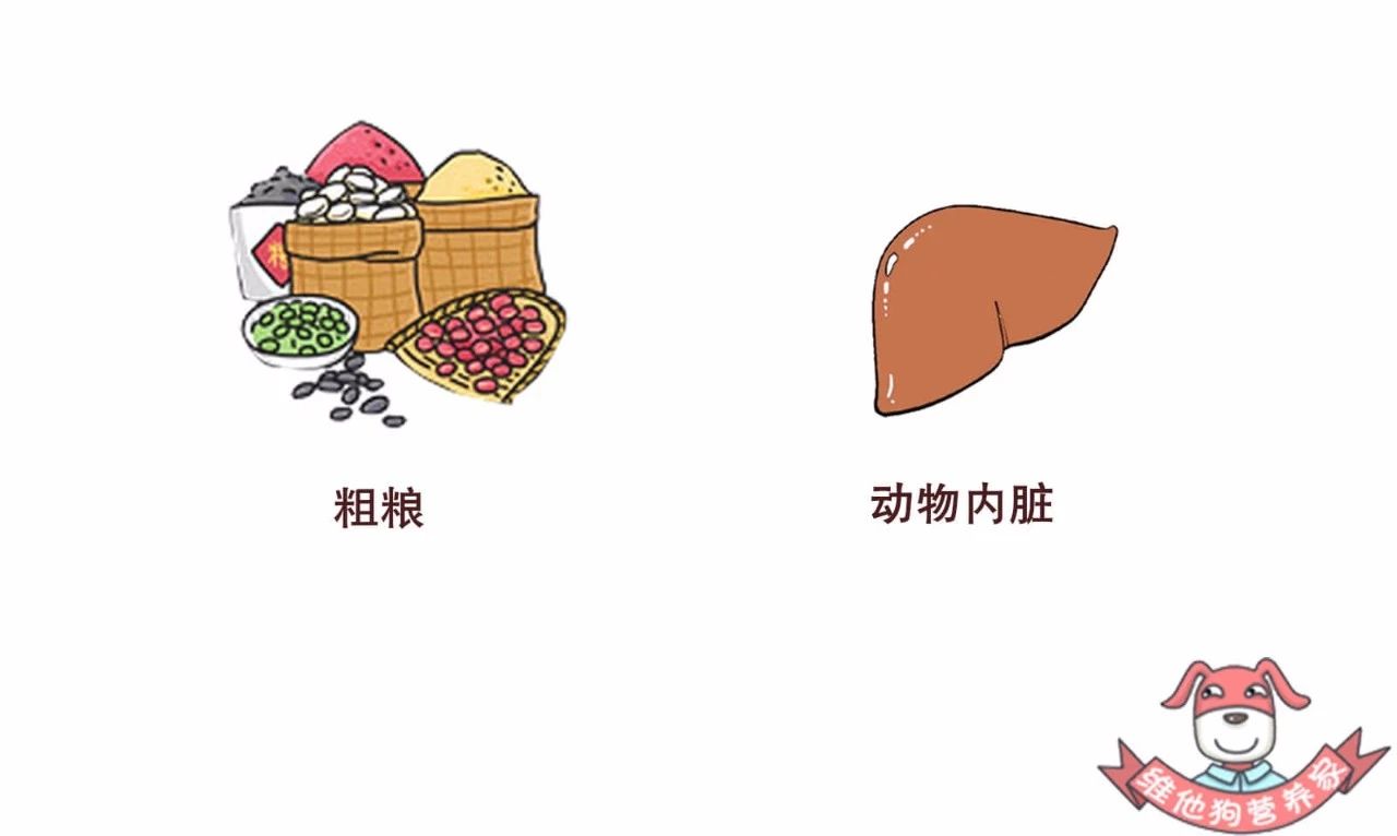 秋困怎么办,秋困是怎么回事如何缓解