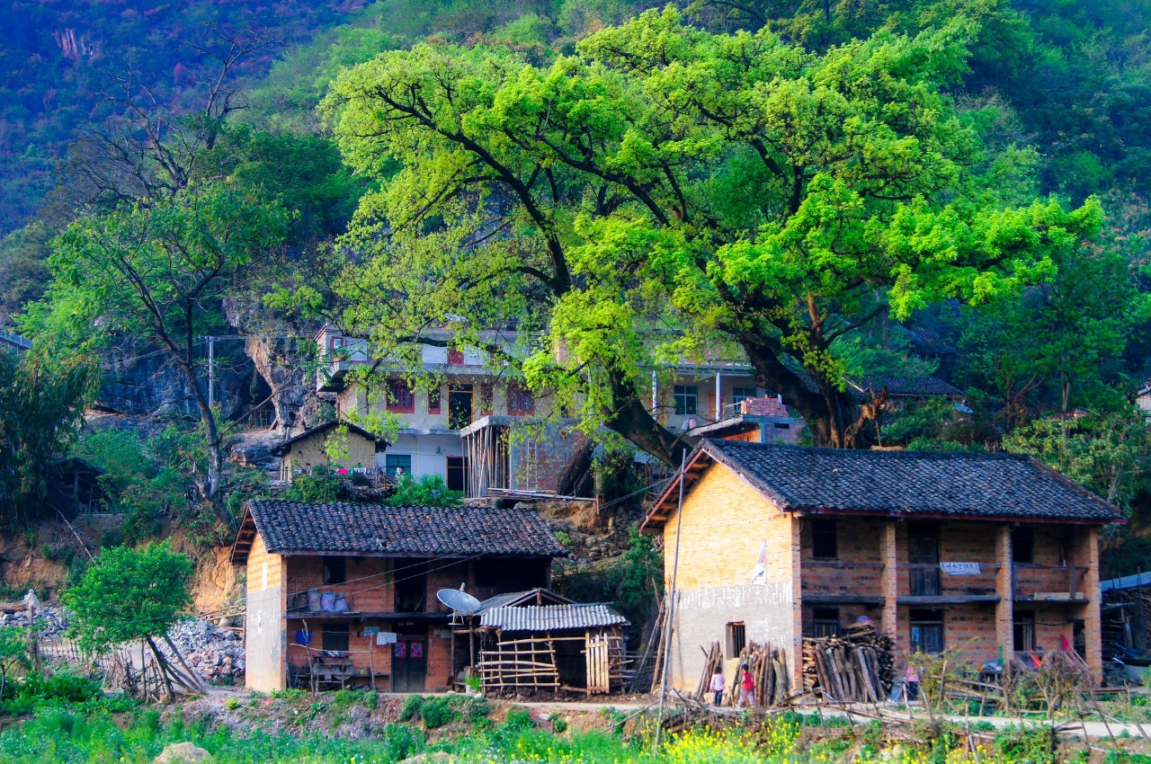 五一适合亲子游的五日游,亏欠孩子的时光用什么补